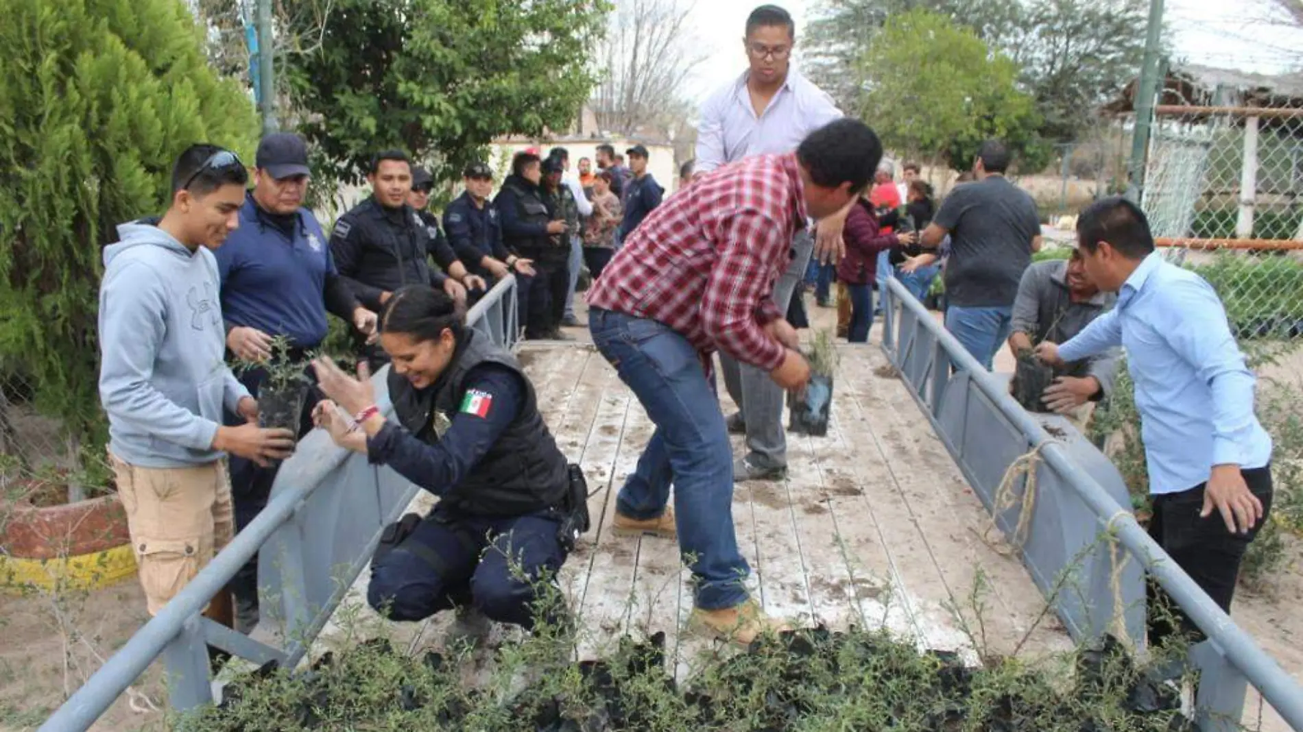 35 MARCELA Fundación Grupo México dona 10 mil arbolitos